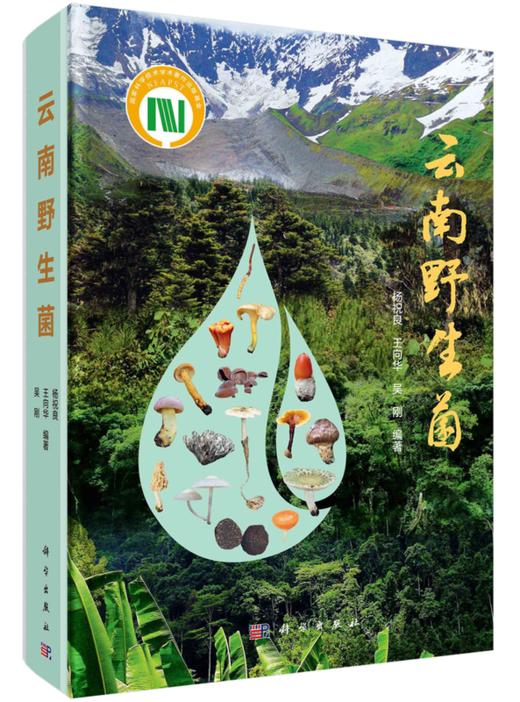 云南/大型真菌/野生菌/蘑菇/蘑菇中毒/生物多样性保护/杨祝良/国家科学技术学术著作出版基金/云南野生菌识别和鉴定的工具书/科普 商品图0