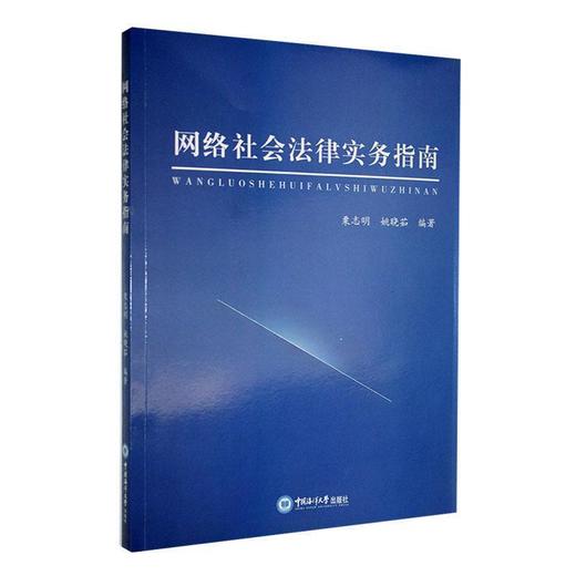 网络社会法律实务指南 商品图0