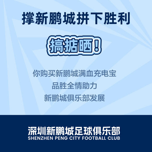 【品胜×深圳新鹏城】深圳新鹏城官方限定纪念款满血充电宝10000毫安 商品图8