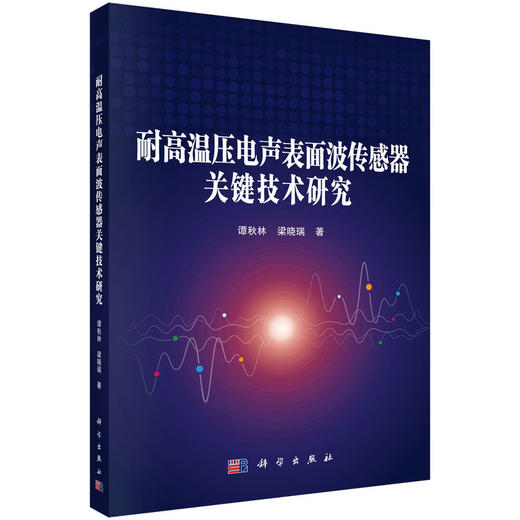 耐高温压电声表面波传感器关键技术研究 商品图0