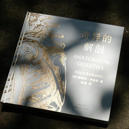 奇异的解剖 商品图1