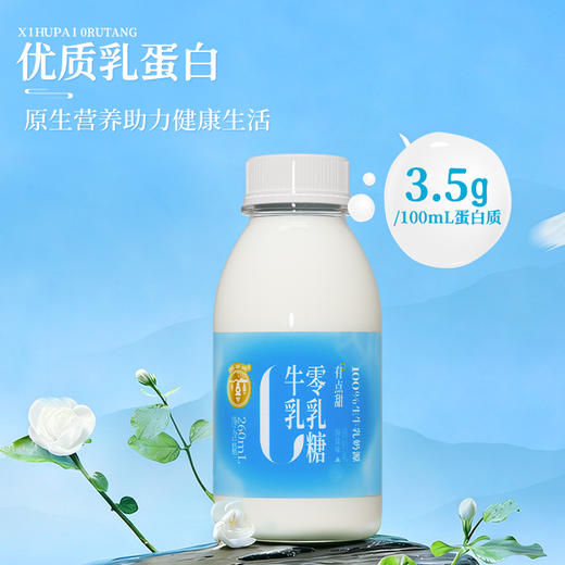 【清甜柔和 细腻顺滑】西湖牌 海盐0乳糖牛奶 小瓶便携 清甜不腻口感 260ml/瓶 商品图5