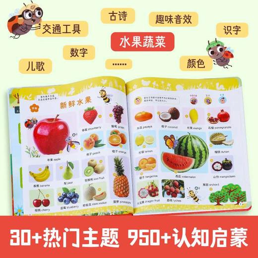莉莉兰的小虫虫:英文 汉文 商品图3