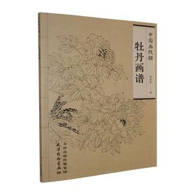 牡丹画谱