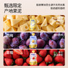 【9.9元新品秒杀】奶酪博士A2婴标奶酪酸奶草莓味45g*2袋 商品缩略图7