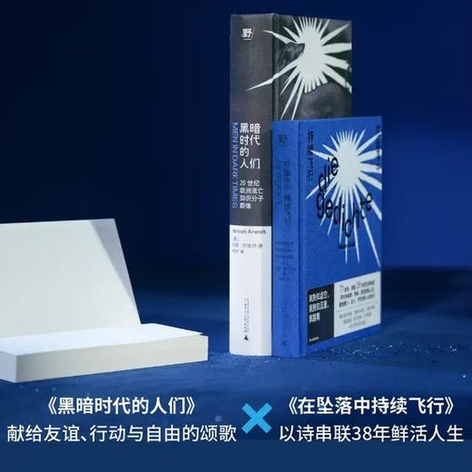 汉娜·阿伦特作品:随笔/诗歌(全2册) 商品图2