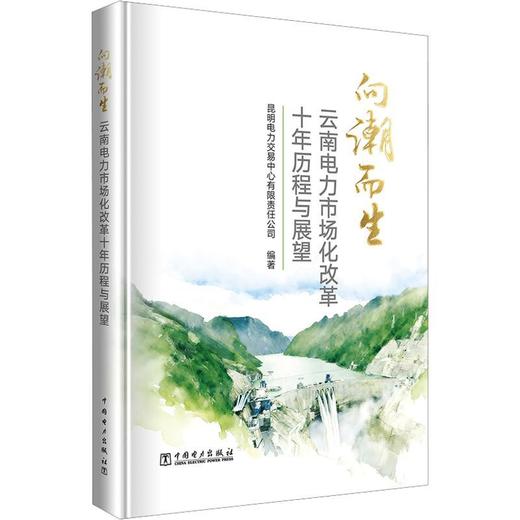 向潮而生 云南电力市场化改革十年历程与展望 商品图0