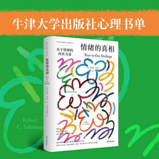 情绪的真相 商品图0
