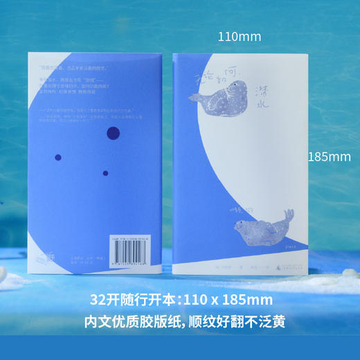无论如何,潜水 商品图4