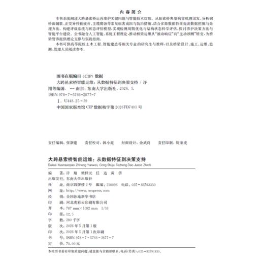 大跨悬索桥智能运维:从数据特征到决策支持 商品图1
