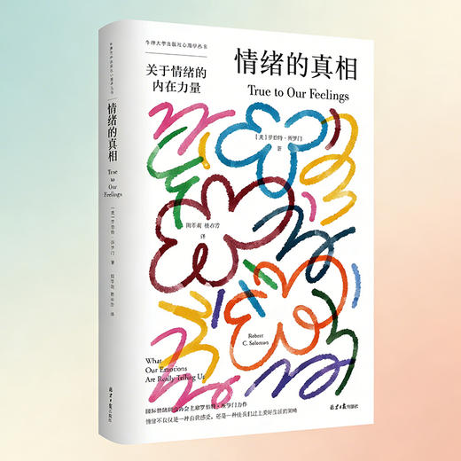 情绪的真相 商品图1