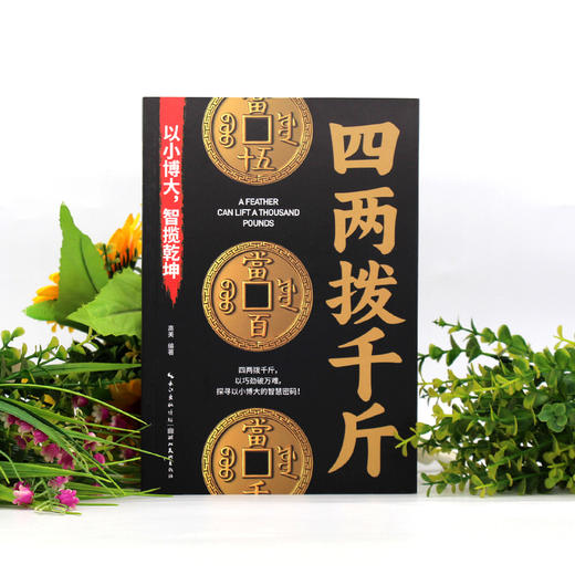 四两拨千斤 商品图1