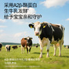 【任选】3件起拍单拍不发货！A2婴标奶酪酸奶（原味/草莓味/香蕉味/西梅味）70g/袋 专研配方 宝宝酸奶 商品缩略图5