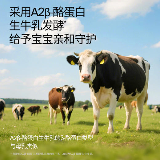 【任选】3件起拍单拍不发货！A2婴标奶酪酸奶（原味/草莓味/香蕉味/西梅味）70g/袋 专研配方 宝宝酸奶 商品图5
