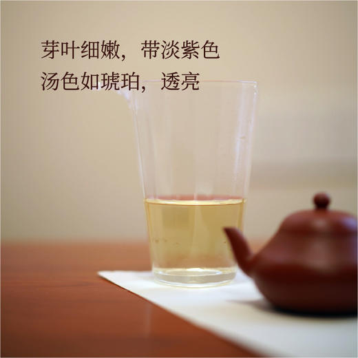 云南哀牢山「玫瑰紫芽茶」| 产自云南哀牢山秘境，香气奇特，犹如晨露的玫瑰香气 商品图3