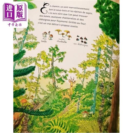 【中商原版】 法文版 法语绘本 寻找乔塞特奶奶的眼镜 法国插画家Juliette Lagrange绘  A La Recherche Des Lunettes De Mamie Josette 商品图2