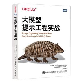 大模型提示工程实战