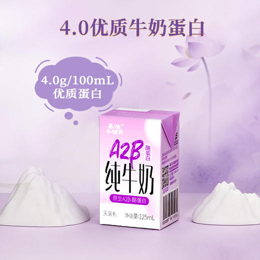 【中华老字号】西湖 A2β-酪蛋白纯牛奶 小分子温和配方 小盒便携装 125ml/盒 商品图4