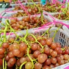 【十堰主城区包邮】郧阳区青曲弗雷无核葡萄3斤/框 商品缩略图1