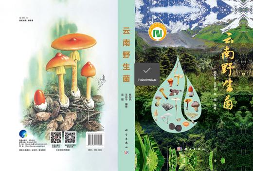 云南/大型真菌/野生菌/蘑菇/蘑菇中毒/生物多样性保护/杨祝良/国家科学技术学术著作出版基金/云南野生菌识别和鉴定的工具书/科普 商品图4