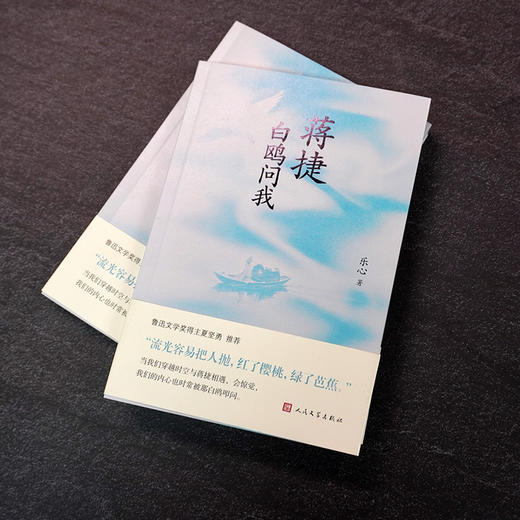 蒋捷：白鸥问我 南宋词人蒋捷人生传奇 鲁迅文学奖得主夏坚勇推荐 商品图1