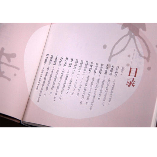 远古足迹:史前山西亿万年 商品图1