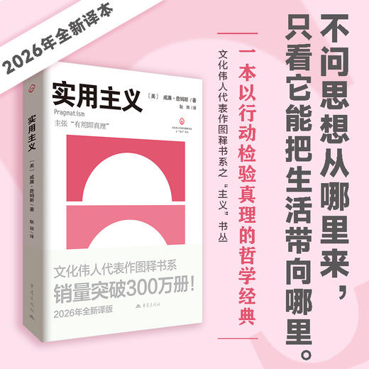 实用主义 商品图0