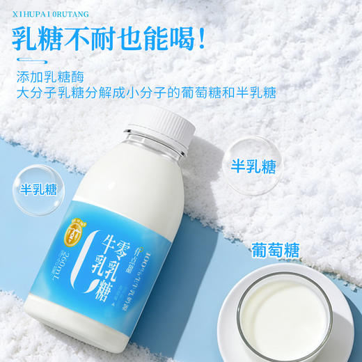 【清甜柔和 细腻顺滑】西湖牌 海盐0乳糖牛奶 小瓶便携 清甜不腻口感 260ml/瓶 商品图3