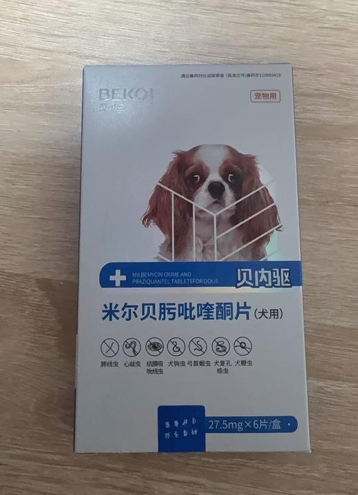 贝可益贝内驱 米尔贝肟吡喹酮（小犬）27.5mg*6片/盒2029年3月3号 兽药字110683419，可防治犬多种常见体内寄生虫，如蛔虫、钩虫、鞭虫、绦虫、眼线虫、心丝虫等。同事也可有效发挥消化道 商品图1