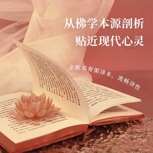 悉达多 商品图1