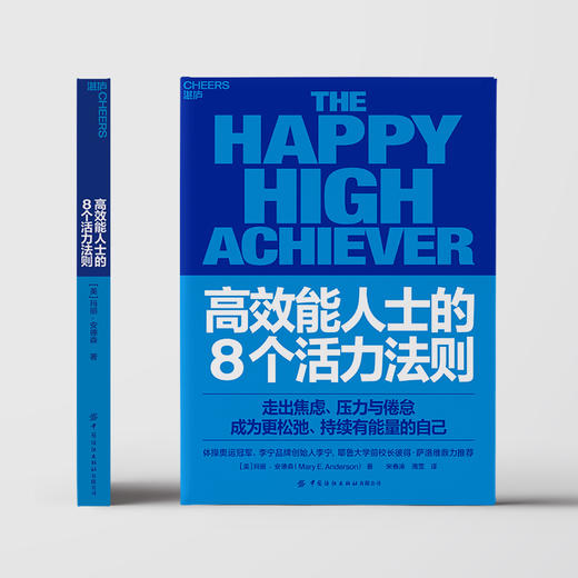 高效能人士的8个活力法则  玛丽安德森 告别倦怠内耗，李宁推荐 商品图2