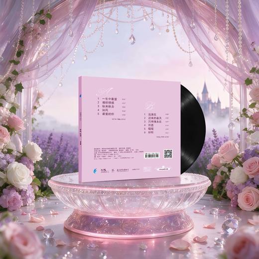 刘德丽首张黑胶唱片《新曲+精选》限量版现正预售 商品图1