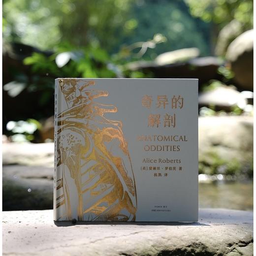 奇异的解剖 商品图0