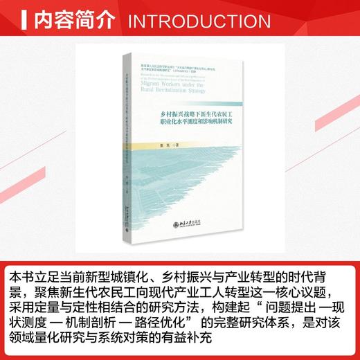 乡村振兴战略下新生代农民工职业化水平测度和影响机制研究 商品图2
