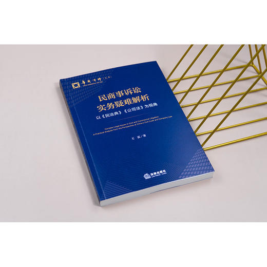 民商事诉讼实务疑难解析：以《民法典》《公司法》为视角  王雷 著  法律出版社 商品图1