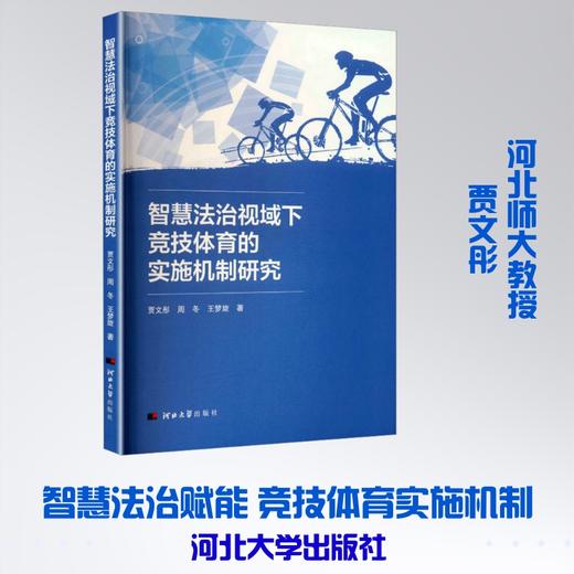 智慧法治视域下竞技体育的实施机制研究 商品图3