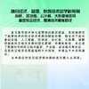 数智时代的低空经济 商品缩略图2