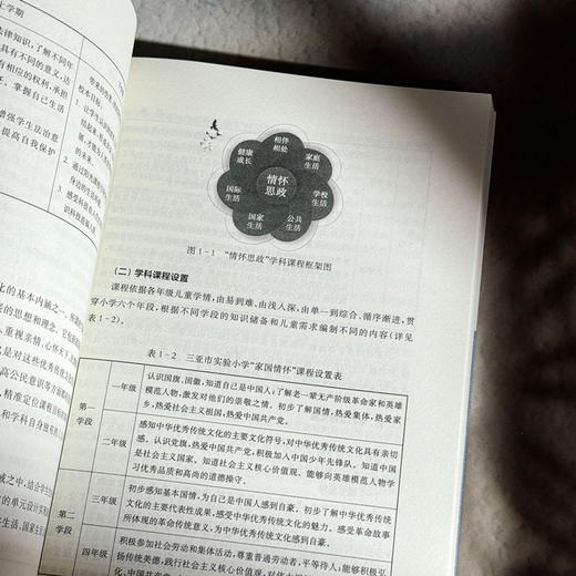 学科课程育人的深刻之道 道德与法治课程 思政育人 中小学案例 商品图11