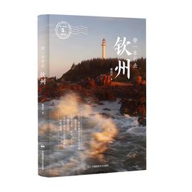 带一本书去钦州