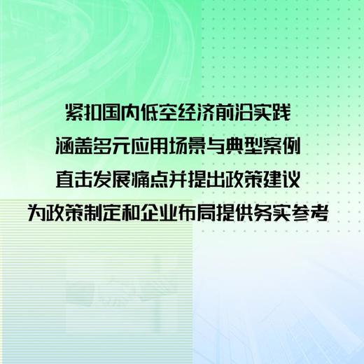 数智时代的低空经济 商品图1