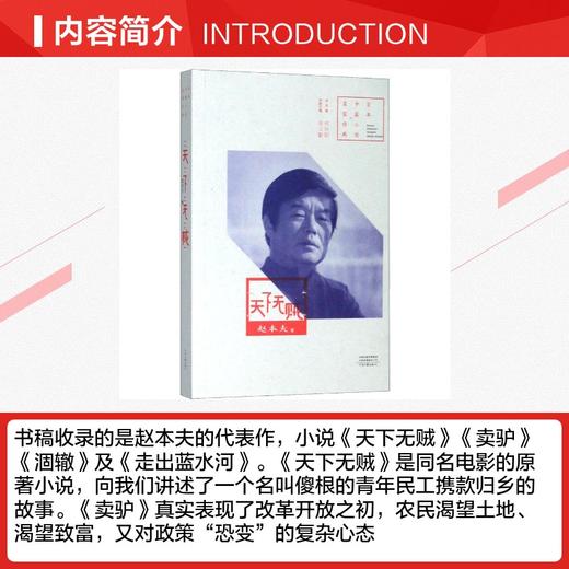 天下无贼 商品图1