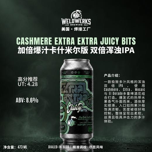 焊接工厂 加倍爆汁卡什米尔版 473ml 商品图1