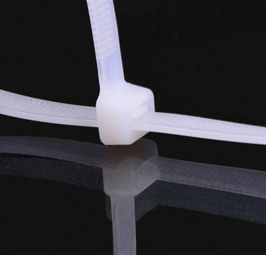 【JQKB】扎带 单位：包 规格：10cm 商品图0