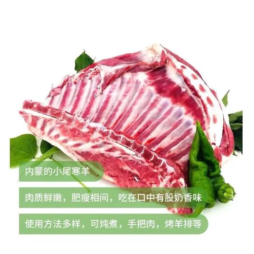 L【内蒙直采】鲜羊排（约3kg)多退少补（不备注默认不切） 商品图1
