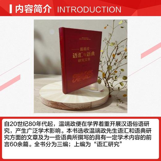 温端政语汇与语典研究文集 商品图1