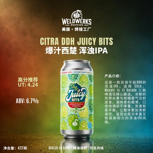 焊接工厂 爆汁西楚 473ml 商品图1