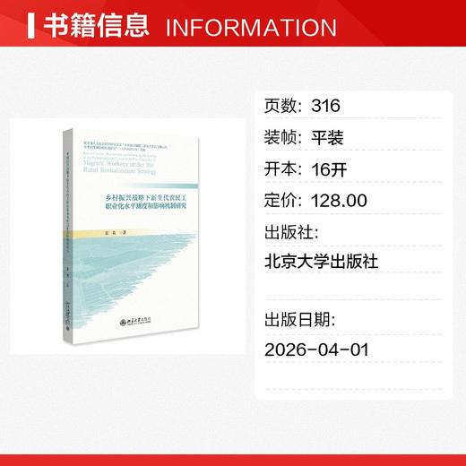 乡村振兴战略下新生代农民工职业化水平测度和影响机制研究 商品图1