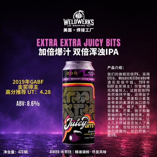 焊接工厂 加倍爆汁  473ml（2019年GABF金奖） 商品图1