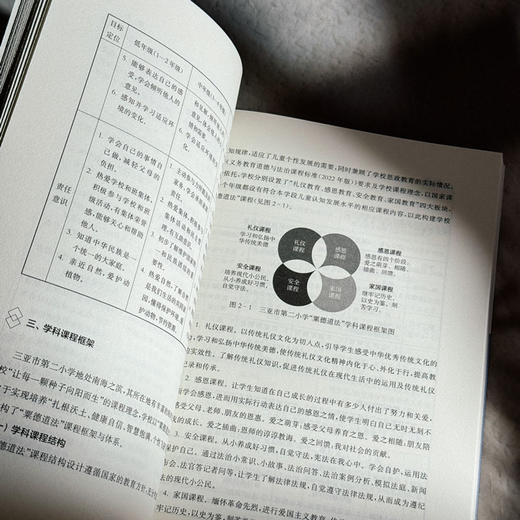 学科课程育人的深刻之道 道德与法治课程 思政育人 中小学案例 商品图13