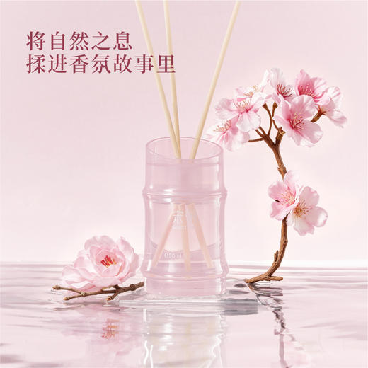 【持久留香 柔和不冲】宋朝 竹节系列无火香薰 淡雅柔和不刺鼻 留香持久耐用 120ml/瓶 商品图12